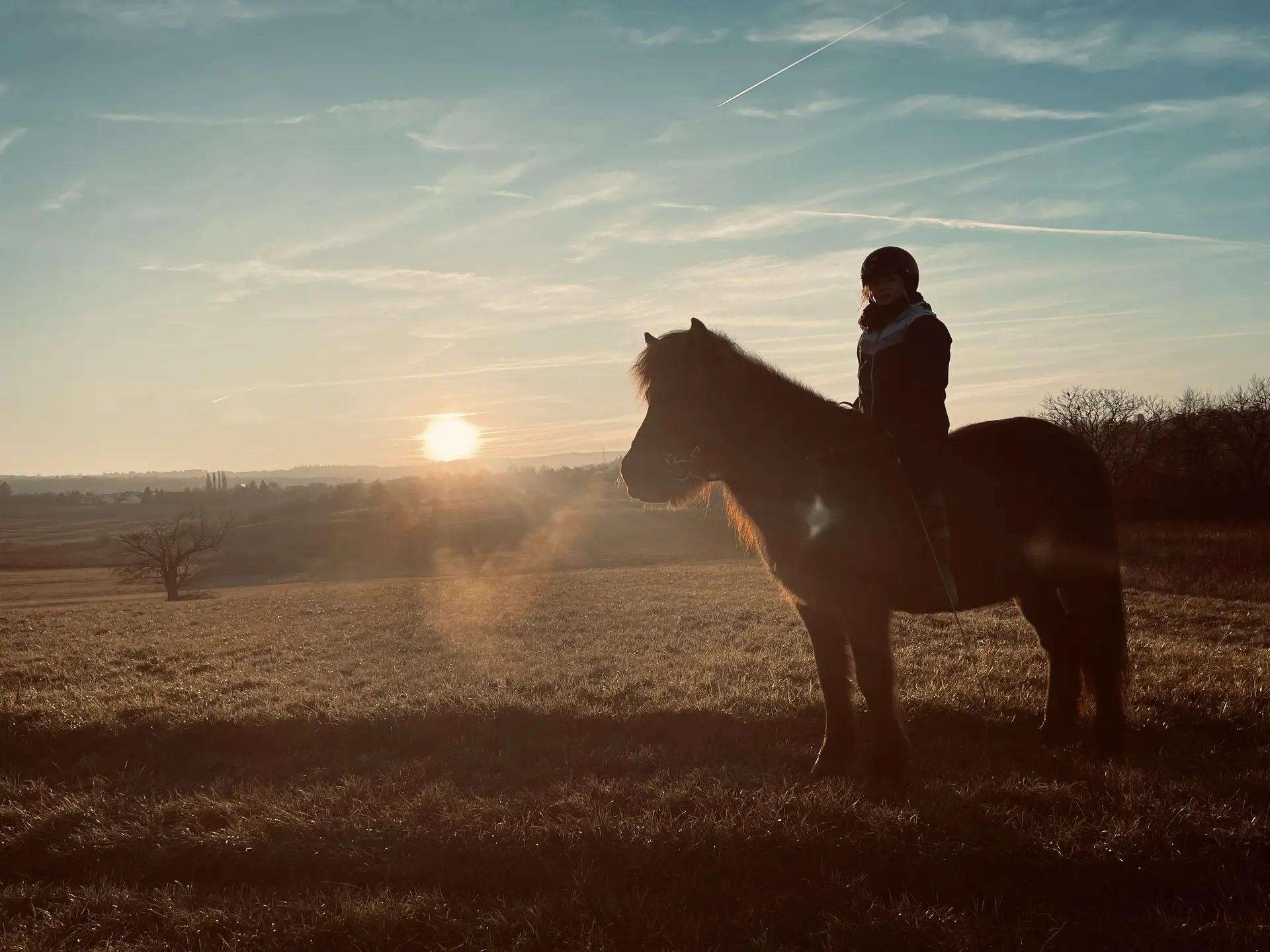 Kind reitet im Sonnenuntergang auf einem Islandpferd über eine Wiese im Enzkreis